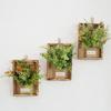 Wall Framed Artificial Plant Faux Greenery Plant in Frame Wall Decor Hanging
