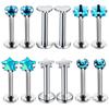 12PC Crystal Labret Piercing Set 16G Heart Tragus Piercing Earring Lot Conch Piercing Set Lip Labret Stud Pack Lobe Earring Bulk