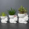 Cute Animal Succulent Ceramic Flower Pot Creative Color Cartoon Flower Pot Container Home Ornament