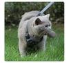 Maine Coon Anti-Escape Breathable Mesh Cat Harness & Leash - No Choke Design for Outdoor Adventures