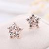 European & American Crystal Snowflake & Star Stud Earrings for Women - Cute & Simple Christmas Jewelry