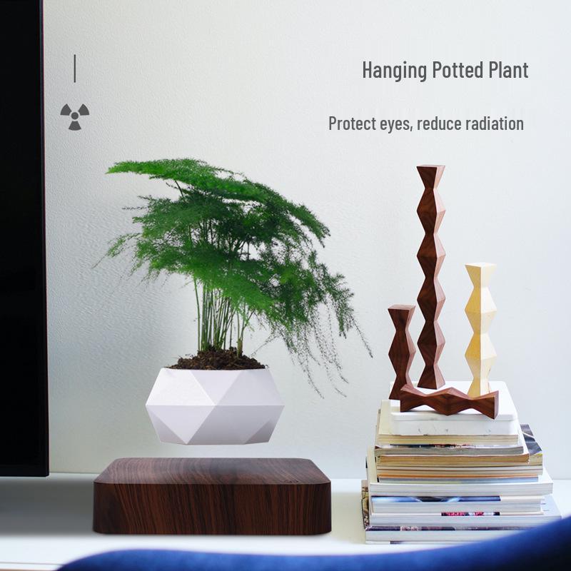 Magnetic Levitation Flower Pot for Home Decor - Creative Floating Bonsai Planter