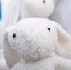 First Toy Rabbit Plush Animal Cushion Pillow Cushion, Cute for Photography, Kids, Children, Gift, Birthday, Newborn, Baby Shower, Baby Photo,