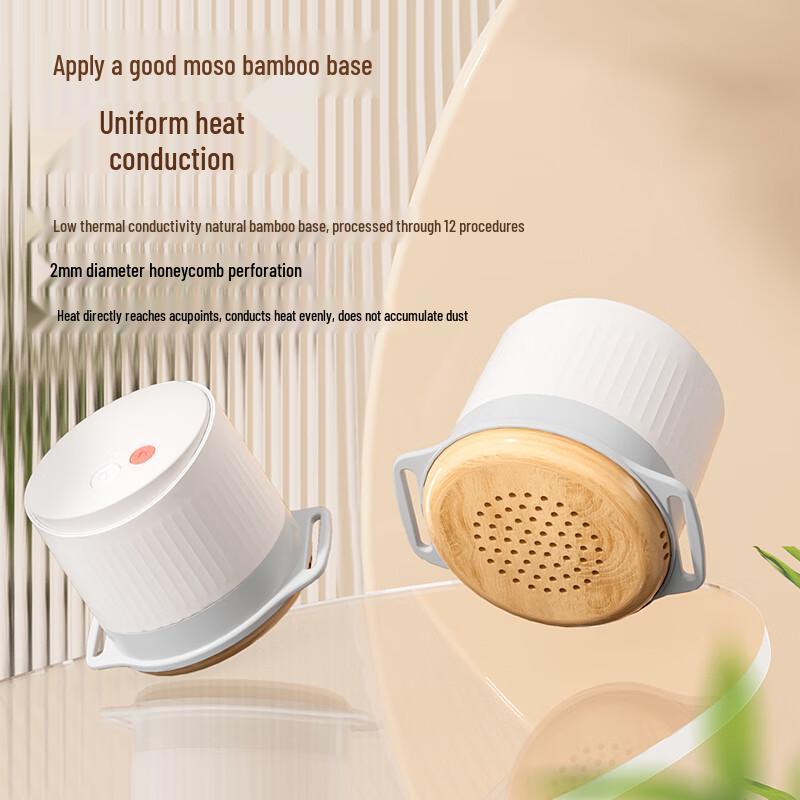 Morphy Richards MR2159 Smart Portable Moxibustion Device