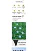 Solar Bear Paw Ground Light, Waterproof Outdoor Garden Lawn Night Light