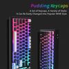 Womier Print Keycaps, PBT Shine-Through Keycaps, 165-Key Custom Keycap Set with OEM Profiles for 100%, 75%, 65%, and 60% Keyboards