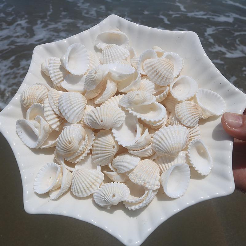 Handmade Natural Seashell Conch & Starfish Frame for DIY Fish Tank or Landscaping
