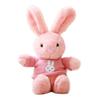 Cute Sweater Rabbit Doll Dress Rabbit Plush Toy Scarf Rabbit Claw Doll Wedding Gift