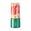 LISM N3 Portable Rechargeable Blender & Juicer