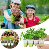 5 Pack 12-Cell Silicone Seedling Starter Tray, Reusable Houseplant Sprouting Containers, Plant Germination Tray, Plant Seedling Pots for Garden