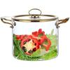 High Borosilicate Glass Stew & Milk Pot