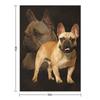French Bulldog -Frenchie Dog Throw Blanket Anime Sofas Sofa Bed Decoratives Blankets