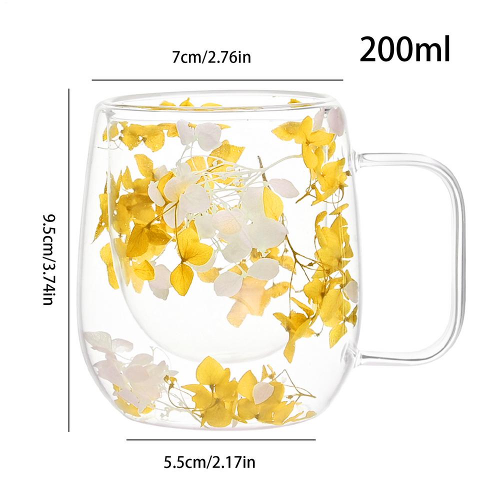 Double Wall Glass Cup 200ml Clear Dried Flowers Milk Tea Coffee Mug with Handle Gifts Friends Home Water Cup Drinking Glasses