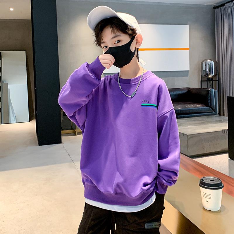 2023 Jungen Sweatshirt im koreanischen Stil mit Rundhalsausschnitt - Frühling & Herbst Print Pullover für Kinder