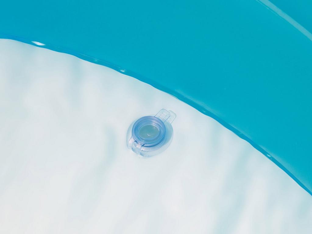 Inflatable Fish Pool 262 X 157 X 46 Cm Bestway 54118