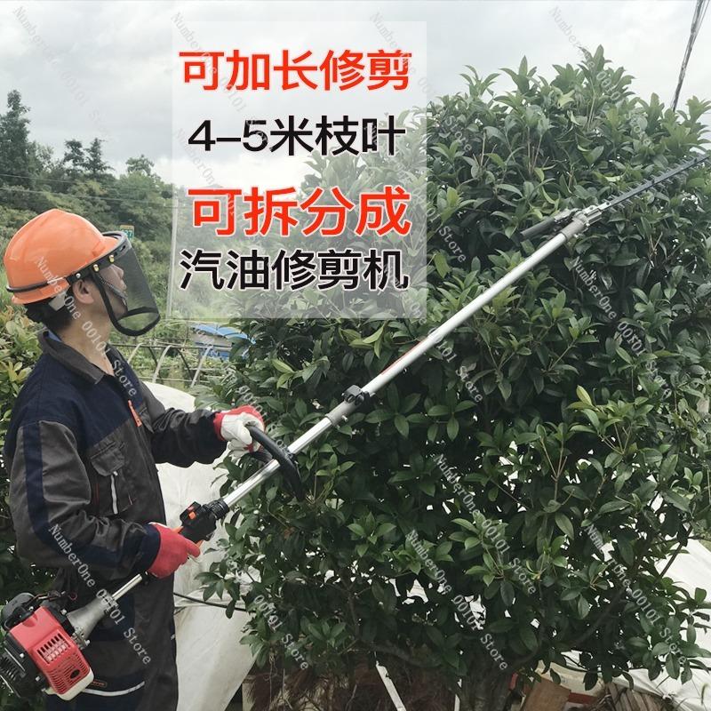Extended High Branch Saw with Engine, Multi-functional Pruning Machine for High-Altitude Tree Cutting, Agricultural