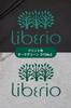 LibErio Premium Pullover Parka, 15.0 Oz., Fleece-Lined (XXL, Ash)