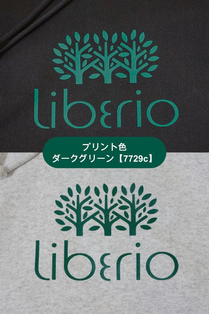 LibErio Premium Pullover Parka, 15.0 Oz., Fleece-Lined (XXL, Ash)