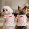 Short Style Puppy Vests Lace Trim Cat Camisole New Princess Dress  Summer Wear