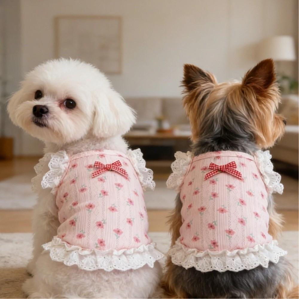 Short Style Puppy Vests Lace Trim Cat Camisole New Princess Dress  Summer Wear