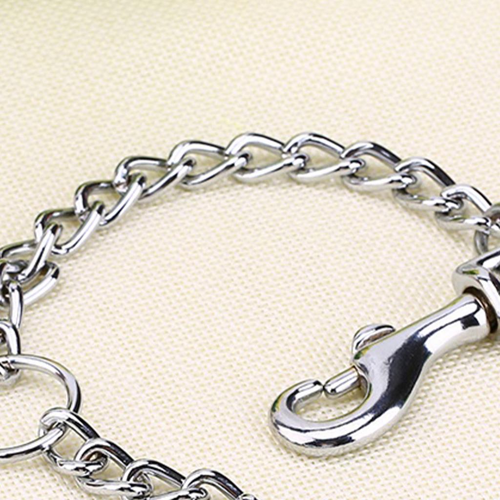  Stainless Steel Double Dog Coupler Chain 2 Way   Leash for 2 Dogs Walking with O Buckle Short 40cm for Small Pets 
