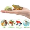 TOYMANY 12-Piece Frog Figure Set, Realistic Frog Model Figurines, Perfect for Birthdays, Christmas, New Years, Halloween, and More, Ages 6 and Up