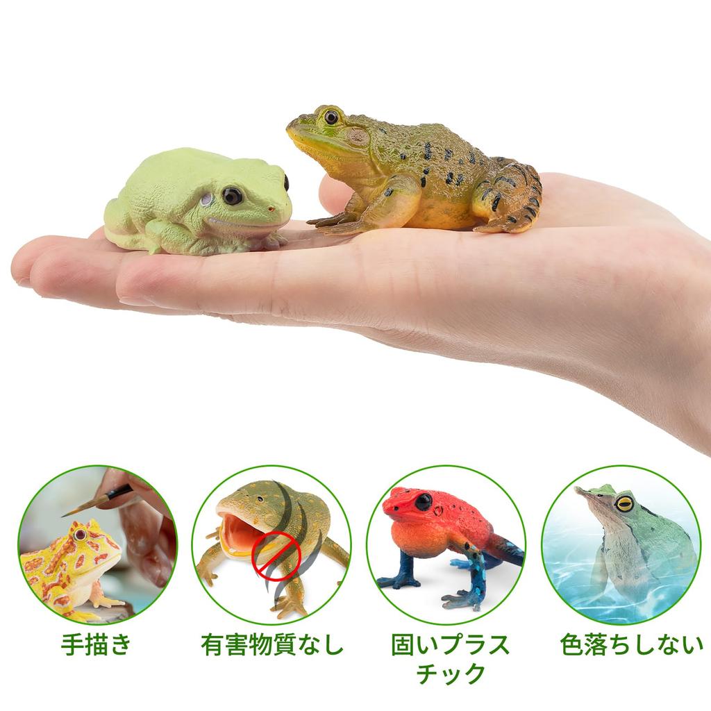 TOYMANY 12-Piece Frog Figure Set, Realistic Frog Model Figurines, Perfect for Birthdays, Christmas, New Years, Halloween, and More, Ages 6 and Up