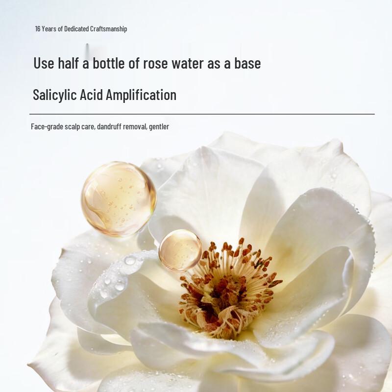 Ban Mu Hua Tian Anti-Dandruff & Oil Control Shampoo