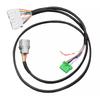 B Series Chassis Specific Adapter Harness D Series B Series Chassis Adapter Harness for Civic Si 1996-1998 EK