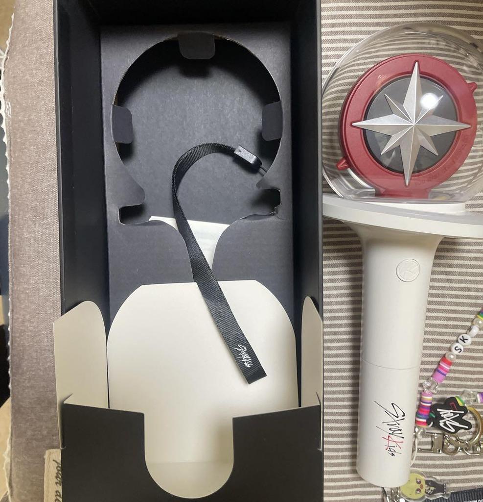 [USED] Stray Kids Ver2 Skiz Penlight