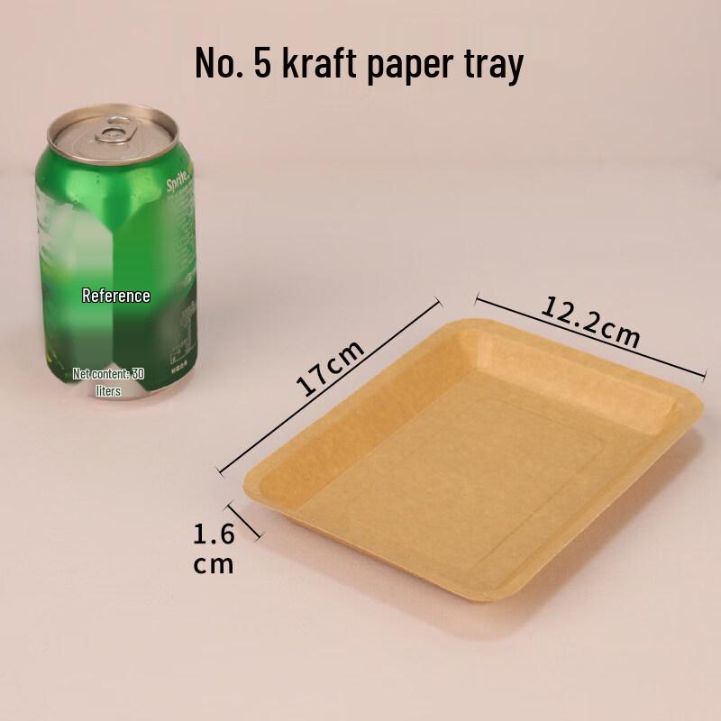 ZISIZ Disposable Dinner Plates & BBQ Trays