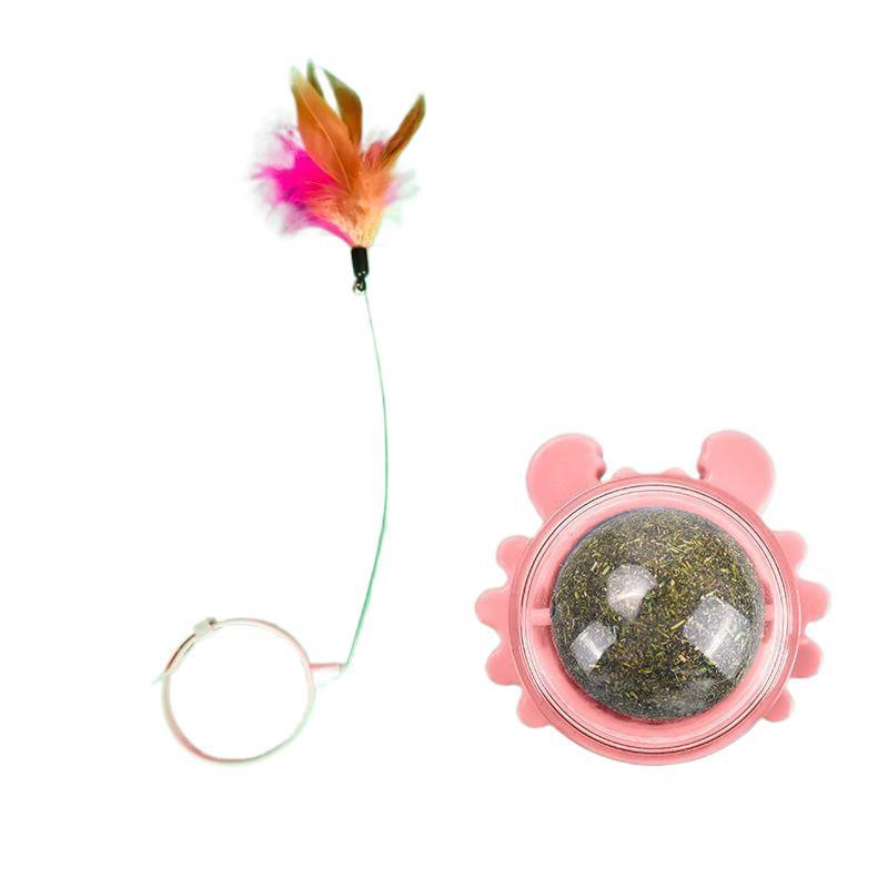 Interactive Feather Cat Teaser with Bell & Collar