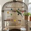 Bird Supply Colorful Star Parrot Climbing Net Safe Flexible Bird Rope Net Durable Bite Resistant Bird Chew Parrot Play