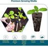 166pcs  Pods Kits Indoor Hydroponics Growing System with Labels Grow Basket