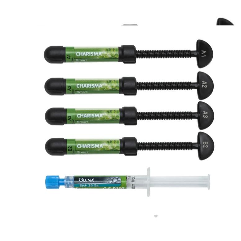 Kulzer Charisma Smart Composite 4 Syringe Kit FREE SHIPPING