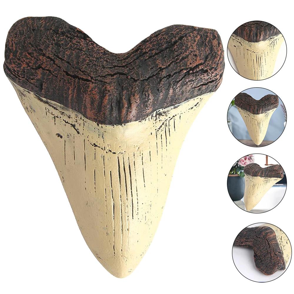 Haifischzahn Modell 5 Zoll Riesiger Megalodon Zahn Leicht zu Reinigen Haifischzahn Replik Meeresbiologie Lehr-Requisiten Zähne Fossilien Geschenke