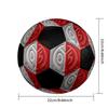 FSV Mainz Soccer Ball Size 5 Colorful Machine Stitched PVC Competition Ready Durable High-Bounce