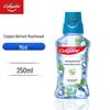 Colgate Vital Mint Mouthwash 250ml