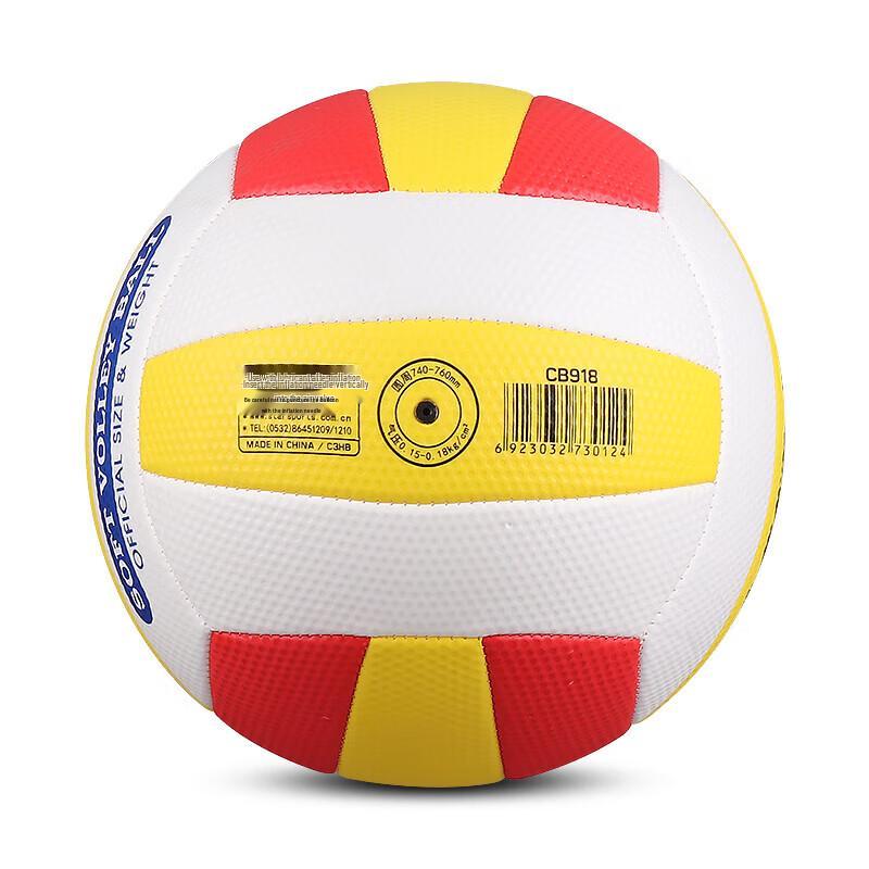 Star Training Air Volleyball