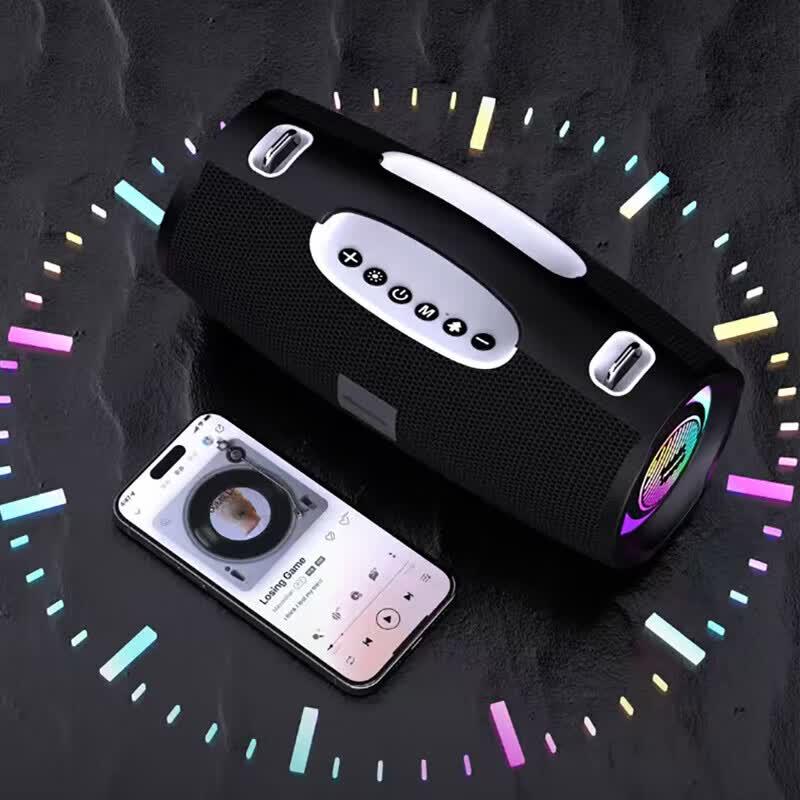 Newmen BT100 High-Power Outdoor Karaoke Bluetooth Speaker (CN version)