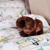 Linen House Childrens/Kids Warren Wombat Plush Toy