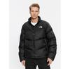 Winter Jacket North Face Saikuru NF0A853I, Black, Standard Fit