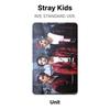 Stray Kids IN STANDARDVERSION. Offizielle Fotokarte