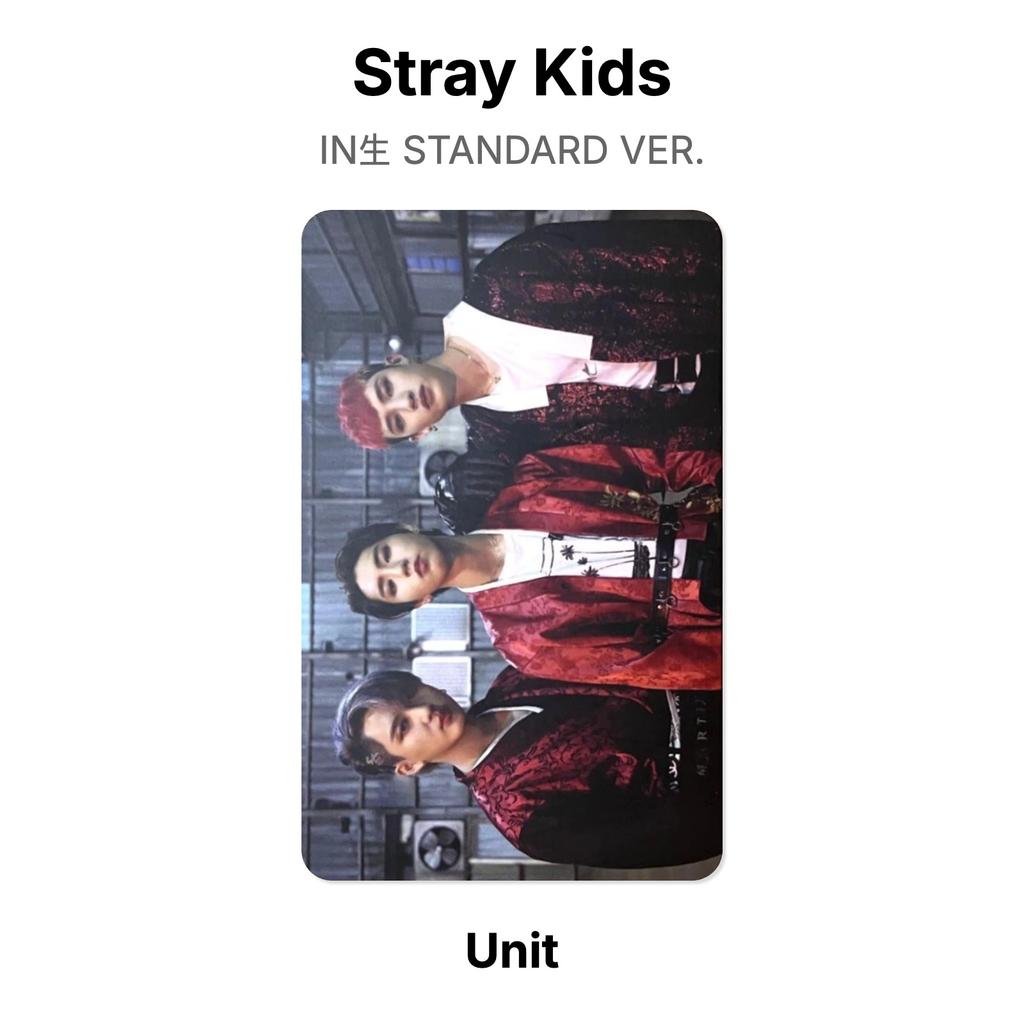 Stray Kids IN STANDARDVERSION. Offizielle Fotokarte