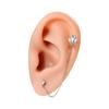Surgical Steel Zircon Crown Chain Ear Tragus Cartilage Flower Piercing Earring Conch Ear Helix Piercing Body Jewelry