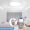 LED iling light ultra-thin modern light bedroom living room 18W 24W 36W 48W indoor Corridor Home Light Home lighting