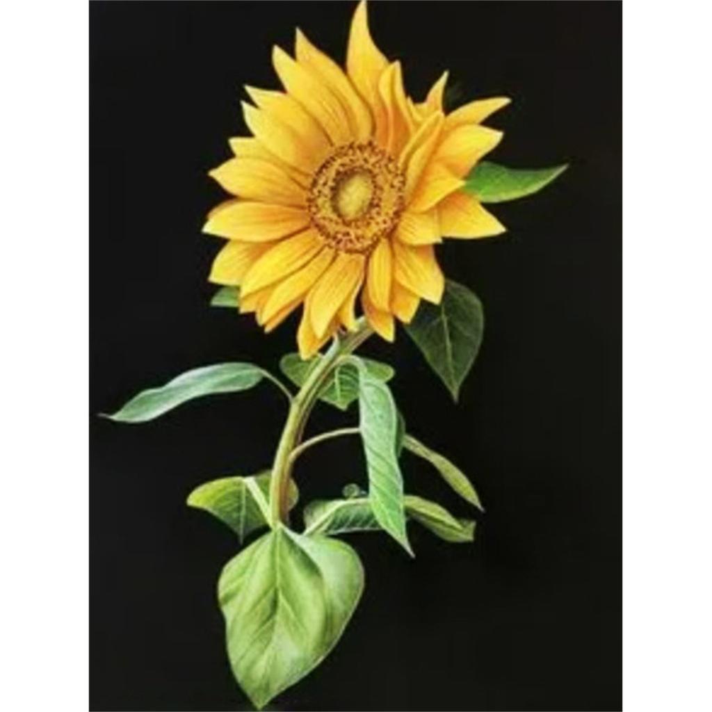 DIY Diamantové malování Krásné květiny Křížkový steh Sada Mozaikové umění Diamantové malování Plný kruh Diamant Domácí dekorace