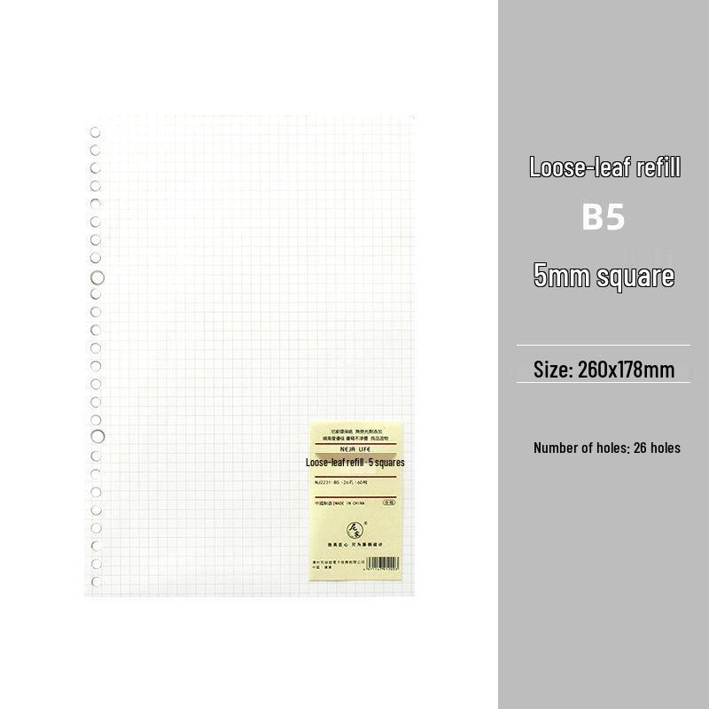 Smooth Loose-Leaf Notebook with Removable Pages for Postgraduate Exams