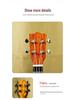 23" All-Solid Mahogany Classical Beginner Ukulele