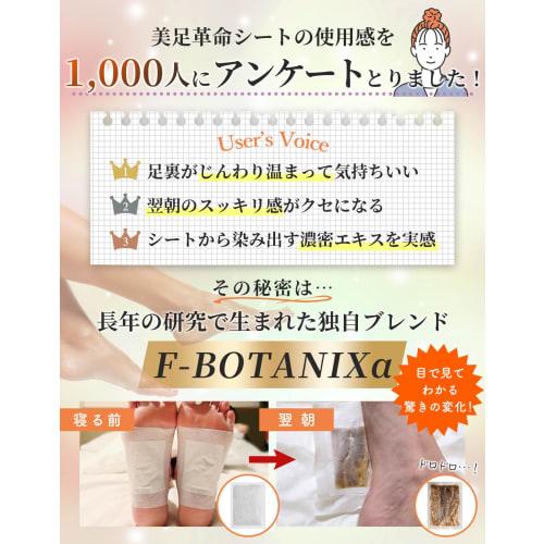 [Expert-Supervised X All-in-One Sheet] 20 Sheets (10-Use Foot Sheets) with Wet Wipes [Featured In Anan/ar] Beautiful Foot Revolution Far Infrared Mass